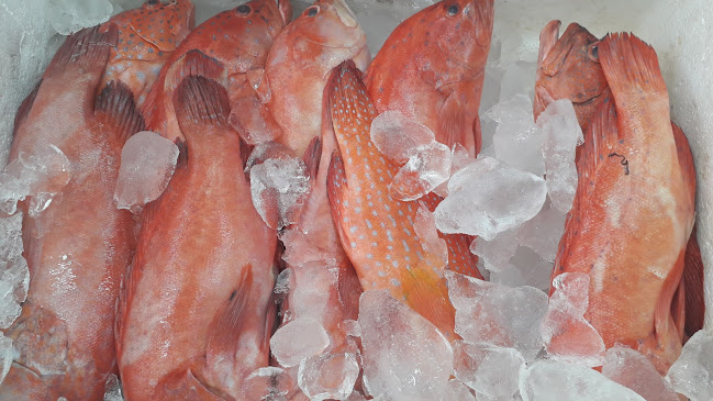 سمكنا أسماك طازجة ومشوي ومقلي - الضيافة