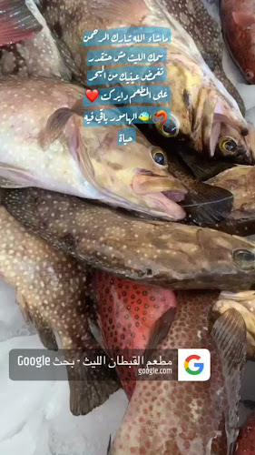 Comentarii opinii despre مطعم القبطان للاسماك الطازجة