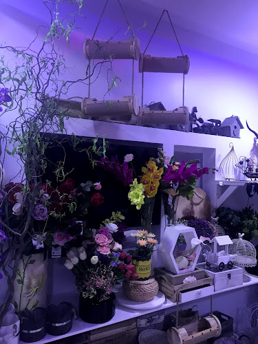 Susan's Flowers - تاروت