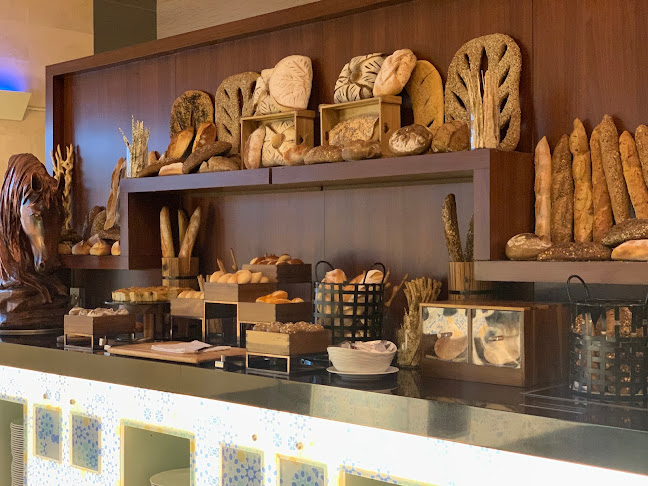 Comentarii opinii despre موزاييك