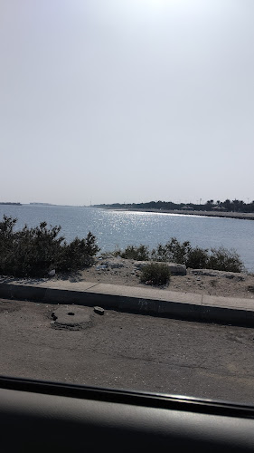 القطيف‎ 32618