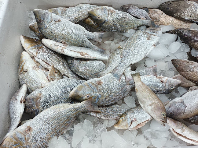 Comentarii opinii despre مطاعم الشيخ فهد عيد المزين للأسماك - الحلقه