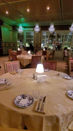 Comentarii opinii despre ميموزا