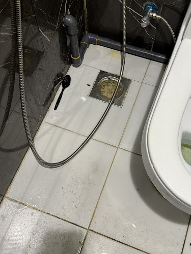 أسماك المينا جده - جدة