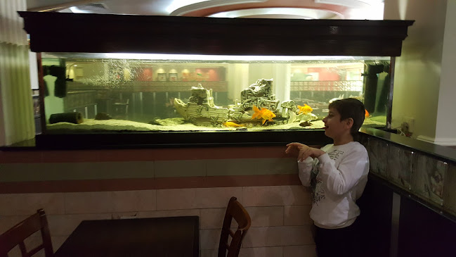 بيتزاهت - جدة