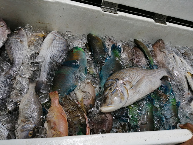 Opinii despre الصياد للاسماك în المدينة المنورة - الضيافة