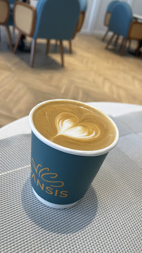 Comentarii opinii despre PANSIS بانسيس