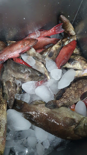 مطعم القبطان للاسماك الطازجة - الليث