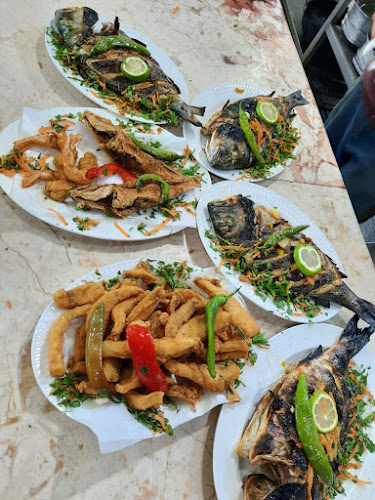 أسماك نوارة الإسكندرية