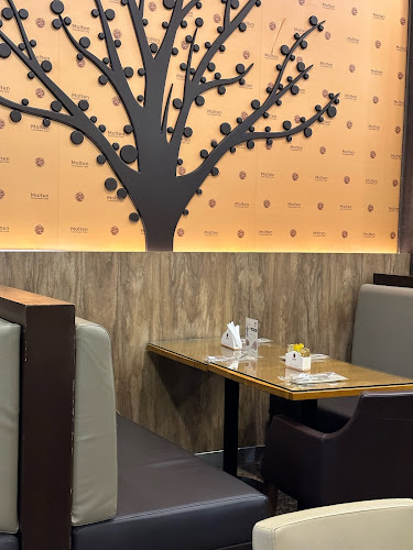 FJPX+WPF Al Rashid Mega Mall، طريق الملك عبدالله، شظاة، المدينة المنورة 42361