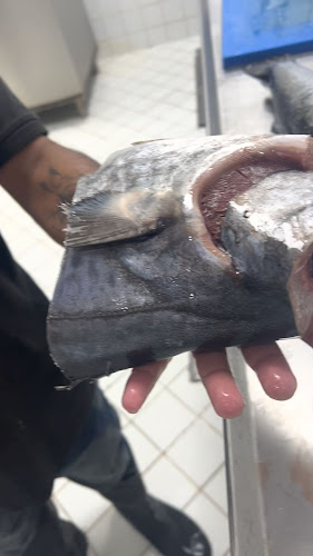 Opinii despre الشركة السعودية للأسماك în الرياض - الضيافة