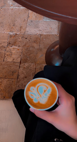 Comentarii opinii despre باك