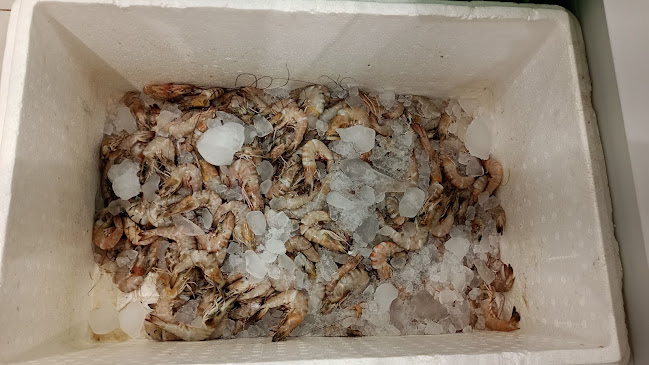 حي الملك عبدالله، 4065 الشيخ سليمان بن عبدالعزيز الراجحي QFJC4065 6593، البكيرية 52741