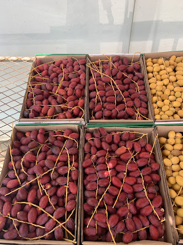 عذوق القصيم - الضيافة