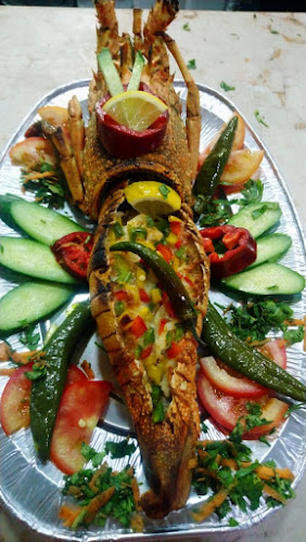 أسماك نوارة الإسكندرية