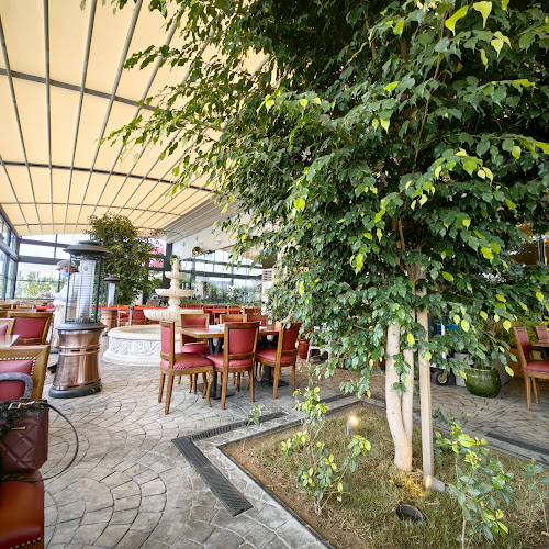 Opinii despre شرمب اناتومي în الطائف - الضيافة