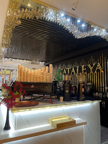 أبو بكر الصديق، الواحة، حفر الباطن 39913