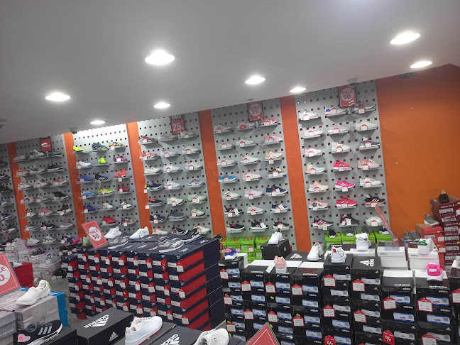 مطعم ليالي اسكندرية - الضيافة