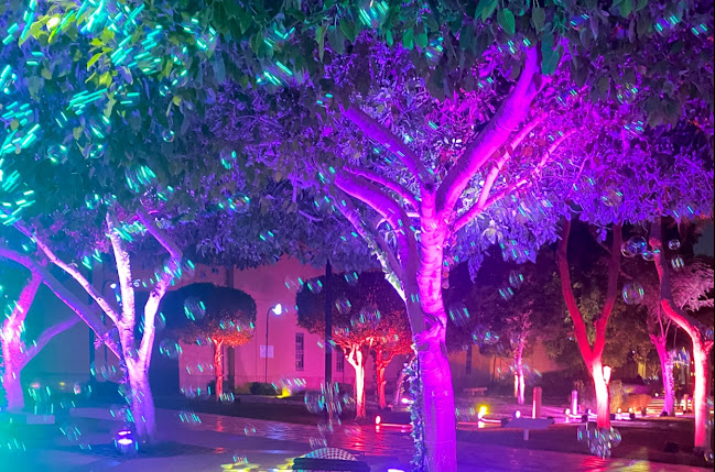 مطاعم المربع - الضيافة