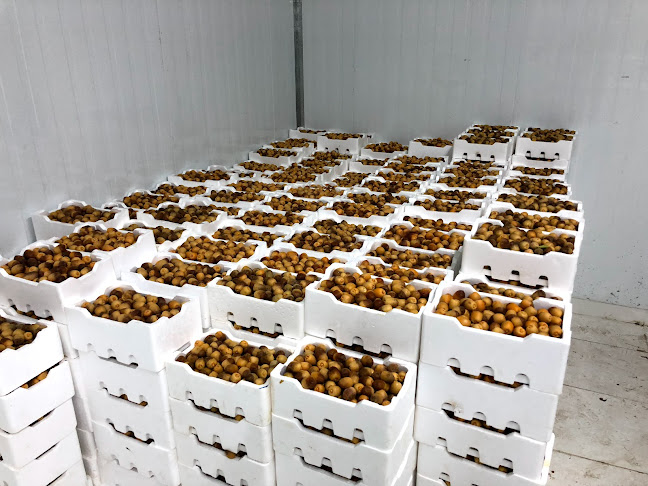 Opinii despre سوق التمور în ينبع - الضيافة