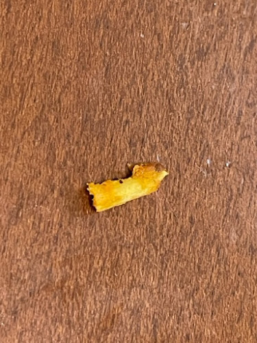 Abs Kitchen أبز كيتشن الراكة