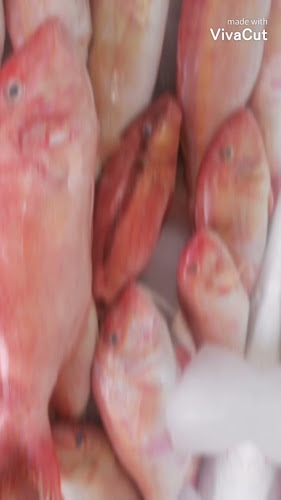 مطعم اسماك ابو حمزه