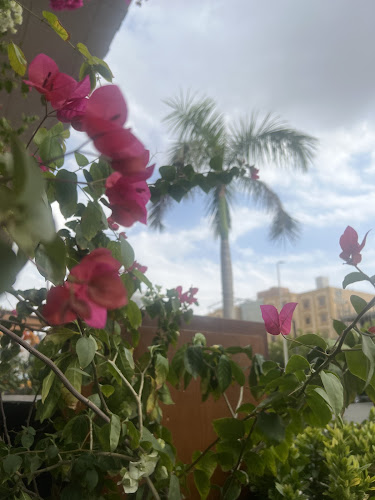 Raksha - الضيافة