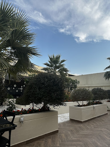 اوڤو لاونج - ovo lounge - الخرج