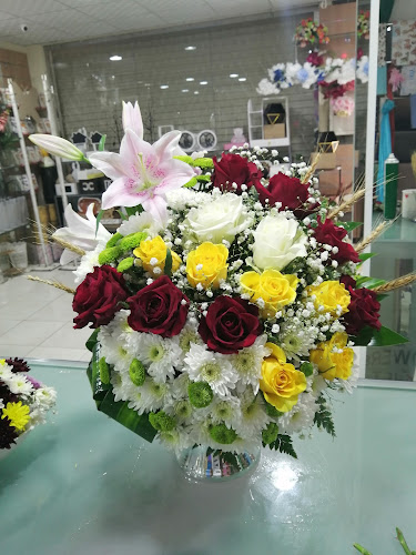 مقهى البستان - القريات