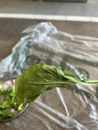 طريق الملك فيصل, Khalidiyah AlShamaliyah، الدمام 32232