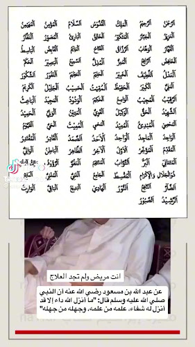 فطائر التركية