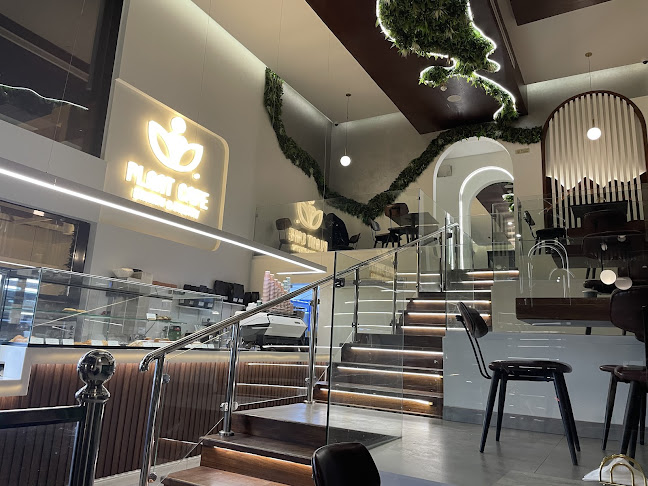 قهوة ومخبز بلانت - الضيافة