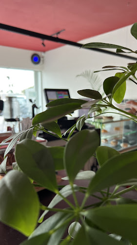 شاي عبق - الدمام