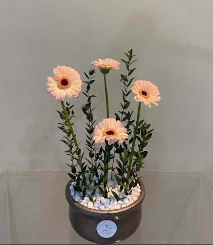 طريق الكورنيش، الليث 25428