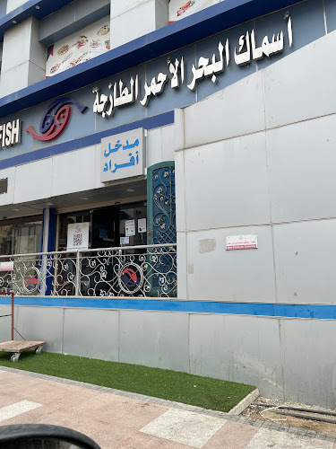 أسماك البحر الأحمر - الباحة