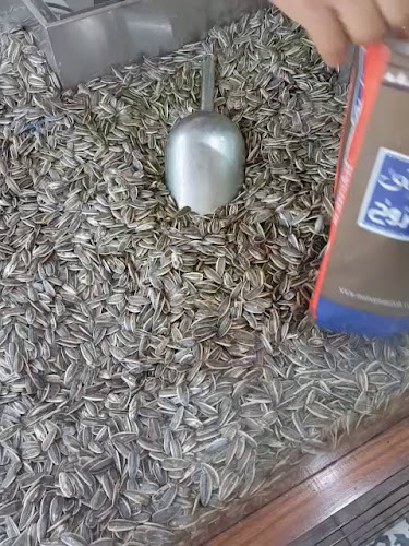 Comentarii opinii despre مرسى مطروح