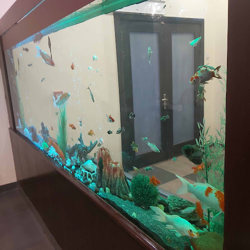 Comentarii opinii despre مطعم شواطئ