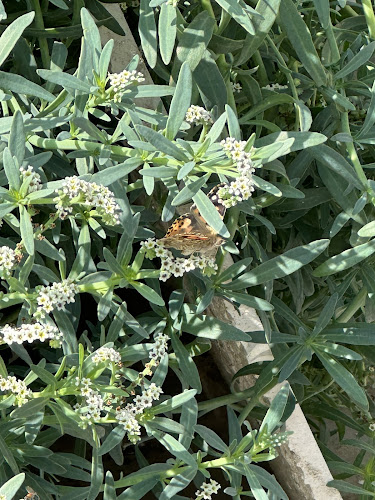 Opinii despre بسترينا بيكري în الرياض - الضيافة