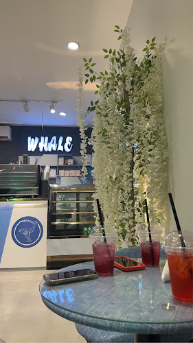 كوفي حوت - الضيافة