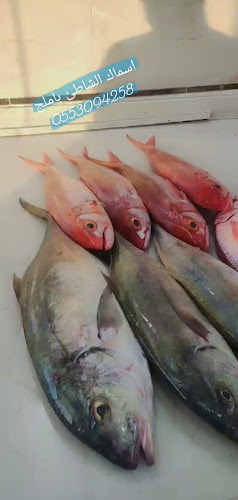 أسماك الشاطئ - الضيافة