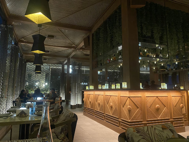 ميموزا - الضيافة