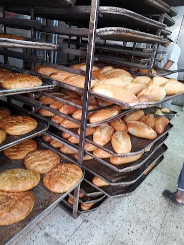 Opinii despre فرن بركة الحجاز للعيش التركي în المدينة المنورة - الضيافة