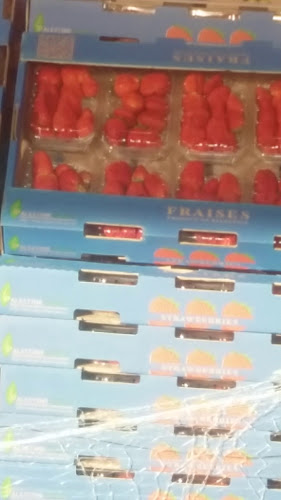 الثلاجات العالمية