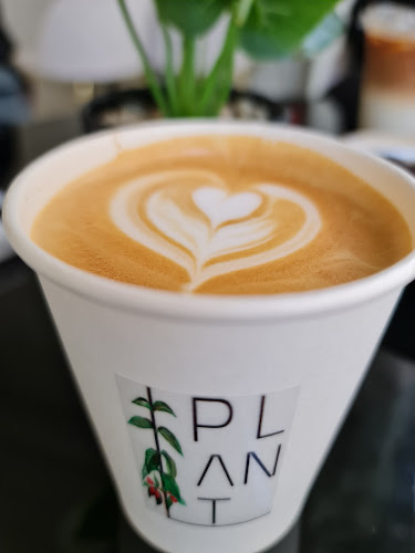 قهوة ومخبز بلانت - الضيافة