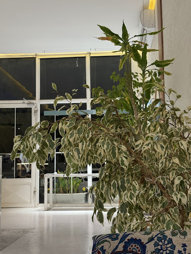 Opinii despre B52 قهوة مختصة în المجمعة - الضيافة