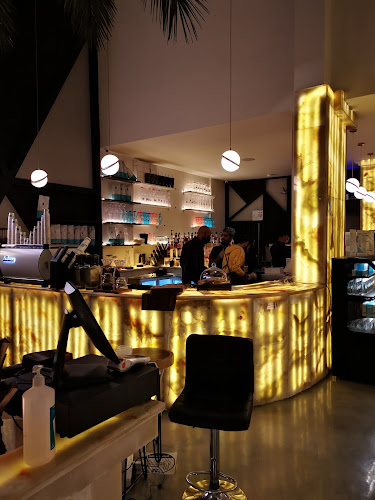 Comentarii opinii despre N2