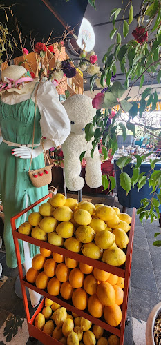 زيتونة باي - الضيافة