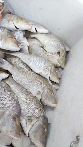 مطاعم الشيخ فهد عيد المزين للأسماك - شوران