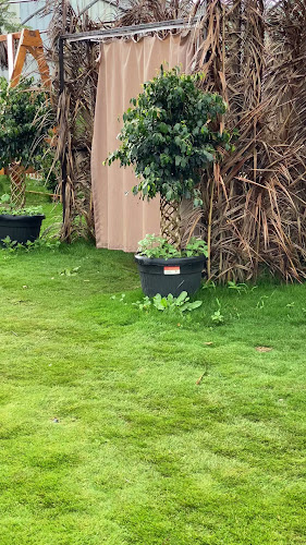 Comentarii opinii despre اوروبيا كافيه