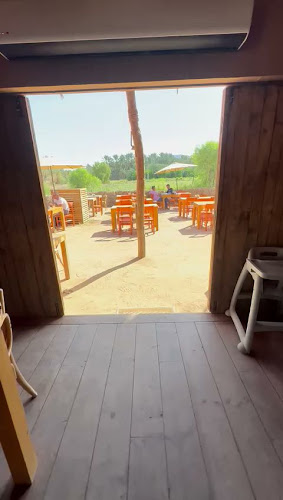 Pink Camel - الضيافة